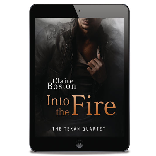 Into the Fire (ebook)