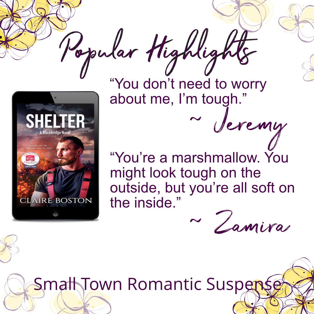 Shelter (ebook)