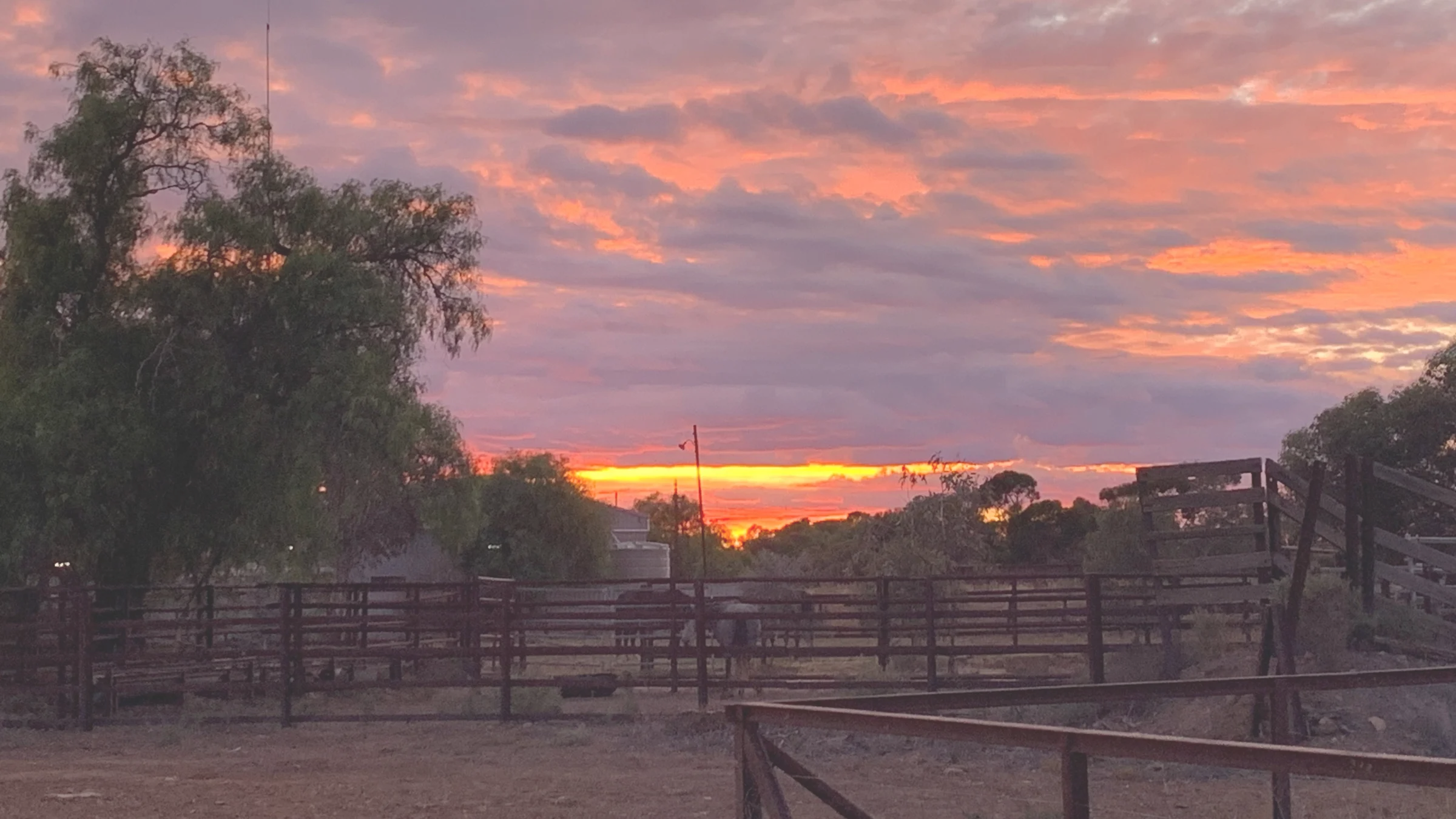 Sunset over a rural landscape with trees and a fence.