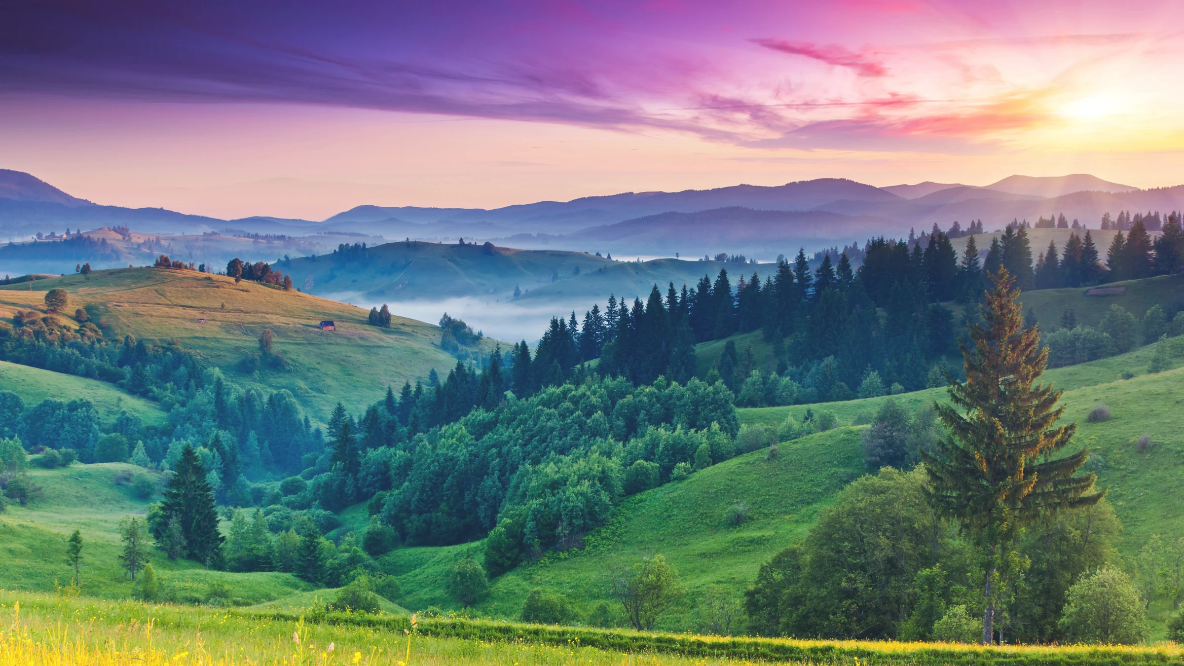 Hilly landscape with green trees and a colorful sky during sunset.