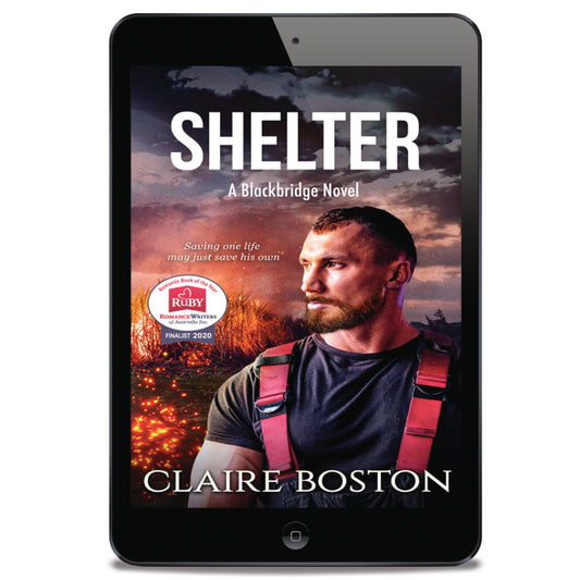 Shelter (ebook)
